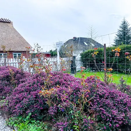 800m Zur Ostsee, Hund, Strand, Meer, Geltinger Bucht Holiday home *